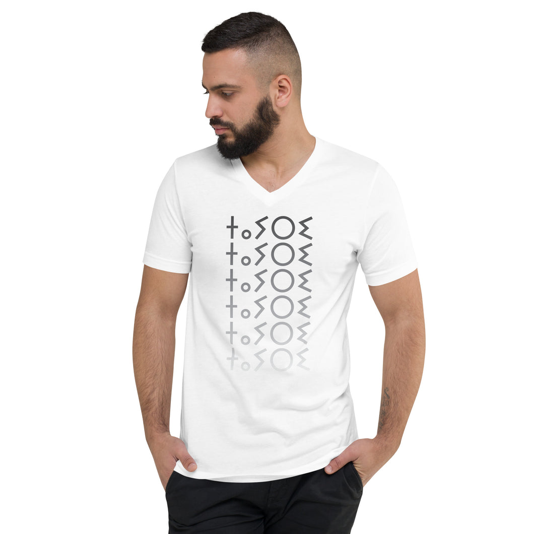 TAYRI V-Neck T-Shirt